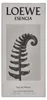 Loewe Esencia Pour Homme Edp Spray Podgląd zdjęcia produktu 4
