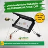 Käfer Klebefalle -1x Falle- Wirksam Käfer bekämpfen, Mittel Produktbild-Vorschau 4