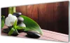 Glasbilder 125x50 Wandbild Druck auf Glas Blumen Steine Produktbild-Vorschau 1