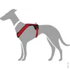 HUNTER Hundegeschirr NEOPREN, rot/schwarz, Produktbild-Vorschau 10