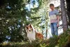 Lassie - Ein neues Abenteuer Náhľad obrázku produktu 3