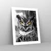 Poster - Poster ohne Rahmen - Eule Vogel Natur - 40x50 cm - Produktbild-Vorschau 7