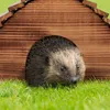 Relaxdays Domček pre ježkov, flámované drevo, hotel pre Náhľad obrázku produktu 5