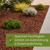A garden bed with red lava rocks, small green plants, and a gray pathway. Produktbild-Vorschau