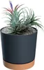 A potted air plant with a flower in a dark gray pot with a brown base. Náhled obrázku produktu