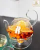 Chauffe-théière en verre Wilmax pour théières, transparent Voir les images du produit 4