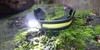A black and yellow LED headlamp is resting on mossy ground next to a piece of wood. Náhled obrázku produktu