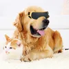 Hundebrille, kleine Rassen, UV-Schutz, Sonnenbrille, Produktbild-Vorschau 4
