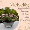 2er Set Pflanzschale Blumenschale Pflanzschalen für Produktbild-Vorschau 5