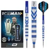 Gerwyn Price Blue Originals 24g Produktbild-Vorschau 4