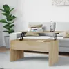 A lift-top coffee table is shown in a living room setting, next to a sofa and a large potted plant. Náhled obrázku produktu