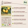 Samenliebe  Melone Samen | Di Cosenza - süß - samenfestes  Produktbild-Vorschau 3