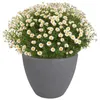 Pot de fleurs gris aspect pierre Pot de fleurs Cache-pot Voir les images du produit 2