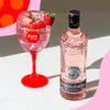 Puerto de Indias Gin Strawberry Náhľad obrázku produktu 12