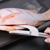 A person's hand is holding a fish scaler to a raw fish that has been scored. Náhled obrázku produktu