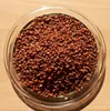 LanDixx Ölrettich 500 g Saatgut Gründüngung Bienenweide Produktbild-Vorschau 2
