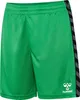Hummel Authentic PL Shorts Kinder, grün, 140 Produktbild-Vorschau 4