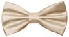 Ladeheid Elegante Herren Fliege -Hochwertig Glänzend Produktbild-Vorschau 1