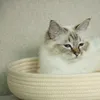 D&D Katzenkorb I Love Happy Cats "Jess" beige Produktbild-Vorschau 4