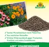 Neudorff  - Azet StaudenDünger 1 kg - aus natürlichen Produktbild-Vorschau 4