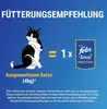 A graphic showing a cat and a product pouch with text indicating feeding recommendations. Produktbild-Vorschau