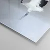 Bilder auf glas - Einteilig - Kraniche kämpfen tanzen - Produktbild-Vorschau 5