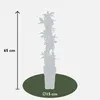 Passiflora Caerulea - ↨65Cm - Ø15 Náhľad obrázku produktu 8