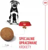 ROYAL CANIN Maxi Puppy - Welpe - Groß (26-44 kg) - Reis - Náhled obrázku produktu 8