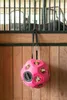 Kerbl Futterspielball pink Pferdespielzeug Heuball für Produktbild-Vorschau 2
