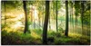 ARTland Leinwandbild Herbst im Wald II Größe: 40x20 cm Produktbild-Vorschau 1
