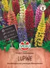 Lupine - Staudenlupine ''SPERLI''s Zauberkerzen'' Produktbild-Vorschau 3