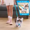 FurReal Friends furReal Walk-A-Lots Kätzchen interaktives Produktbild-Vorschau 13