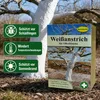 Schacht Weißanstrich für Obstbäume 1 kg Produktbild-Vorschau 4