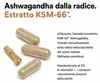 Ashwagandha KSM-66 Capsule altamente concentrate - 600 mg Anteprima dell’immagine prodotto 2