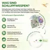 Green Guardia Schlupfwespen gegen Pflaumenwickler -3x Produktbild-Vorschau 4