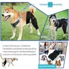 Collage of dogs wearing knee braces, a family with dogs, and text describing the product's benefits. Produktbild-Vorschau