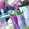 Orchids in decorative pots on a glass table, with a blurred background of a living space. Podgląd zdjęcia produktu