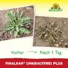 Neudorff Finalsan UnkrautFrei Plus 1L für 180m² Produktbild-Vorschau 5