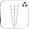 Pflanzenstütze 60 cm - Grün - Stabil und ästhetisch - Inkl. Produktbild-Vorschau 5