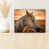 MuchoWow® - Leinwandbilder - Pferd - Tiere - Porträt, Produktbild-Vorschau 6