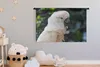 MuchoWow® Wandteppich Wandbehang Nahaufnahme eines weißen Produktbild-Vorschau 3