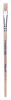 Pelikan 721415 Pennello in setola grado 613F misura 8(T) Anteprima dell’immagine prodotto 8