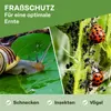 TTL GARDEN PE Frühbeetfolie 10x2m gelocht 20g/m² Produktbild-Vorschau 6