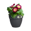 elho® Vibia campana easy Jardinière S anthracite à Voir les images du produit 3