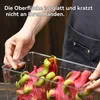 Sonstige Küchenaufbewahrung, 6er-Set Aufbewahrungsbox, Produktbild-Vorschau 5