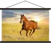 MuchoWow® Textilposter Pferd - Sonne - Gras - Tier 90x60 cm Produktbild-Vorschau 1