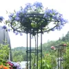 Garten Rund Rankturm Rankgitter - Vertikale Kletterhilfe Produktbild-Vorschau 4