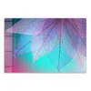 DEQORI Glasbild Echtglas 90x60 cm 'Transparenter Produktbild-Vorschau 2