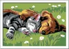 CreArt - Serie E: Hund und Katze schlafen süß Produktbild-Vorschau 2