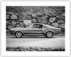 Poster - Poster ohne Rahmen - Auto Ford Mustang - 50x40 cm Produktbild-Vorschau 1